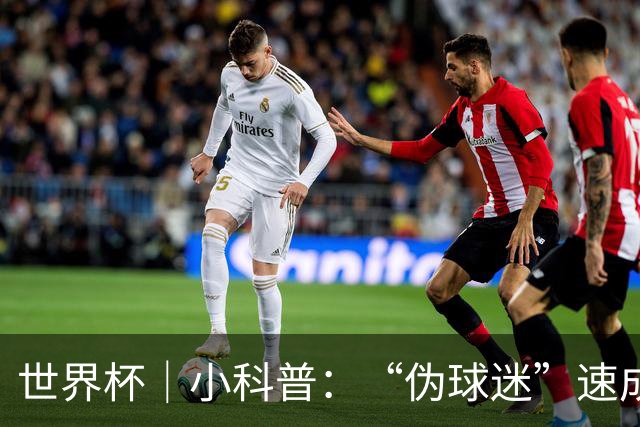 世界杯｜小科普：“伪球迷”速成手册